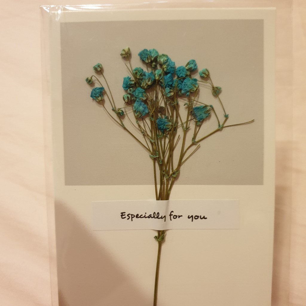 藍色 滿天星 乾燥花 真花 賀卡 創意 賀卡 邀請函 卡片 卡片實際尺寸: 寬8.1公分×長15公分