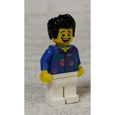 D-22 櫃 現狀品：「我的褲子在哪」主角 THE LEGO MOVI 71004 樂高玩電影 12代　天富