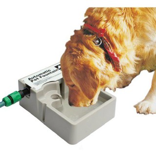 【AquaMate】WA-9101 寵物自動給水器 環保省時免插電 室內室外皆適用 外出免擔心 貓狗鳥寵物 台灣製 專利