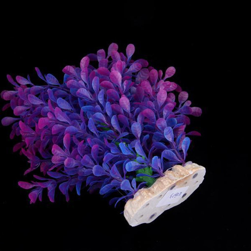 水族箱裝飾 假水草紫綠色水草魚缸水族箱造景裝飾fine Globaltop 蝦皮購物