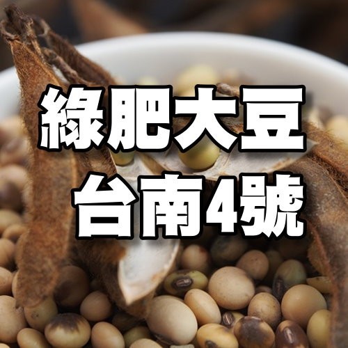 【小農夫國產豆類】台灣種植/綠肥大豆-臺南４號種子(3公斤=5斤)/休耕用大豆/青皮豆/抑制雜草/休耕豆/非基改黃豆