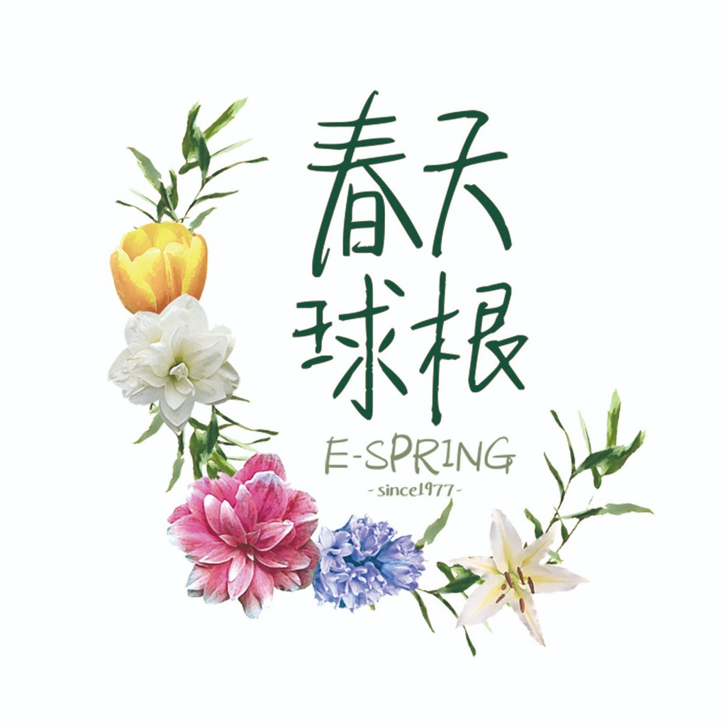 春天球根建國801 線上商店 蝦皮購物