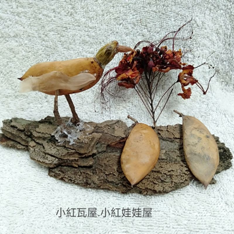 R小紅瓦屋.水黃皮小鳥種子DIY材料包(乾燥花手工藝)