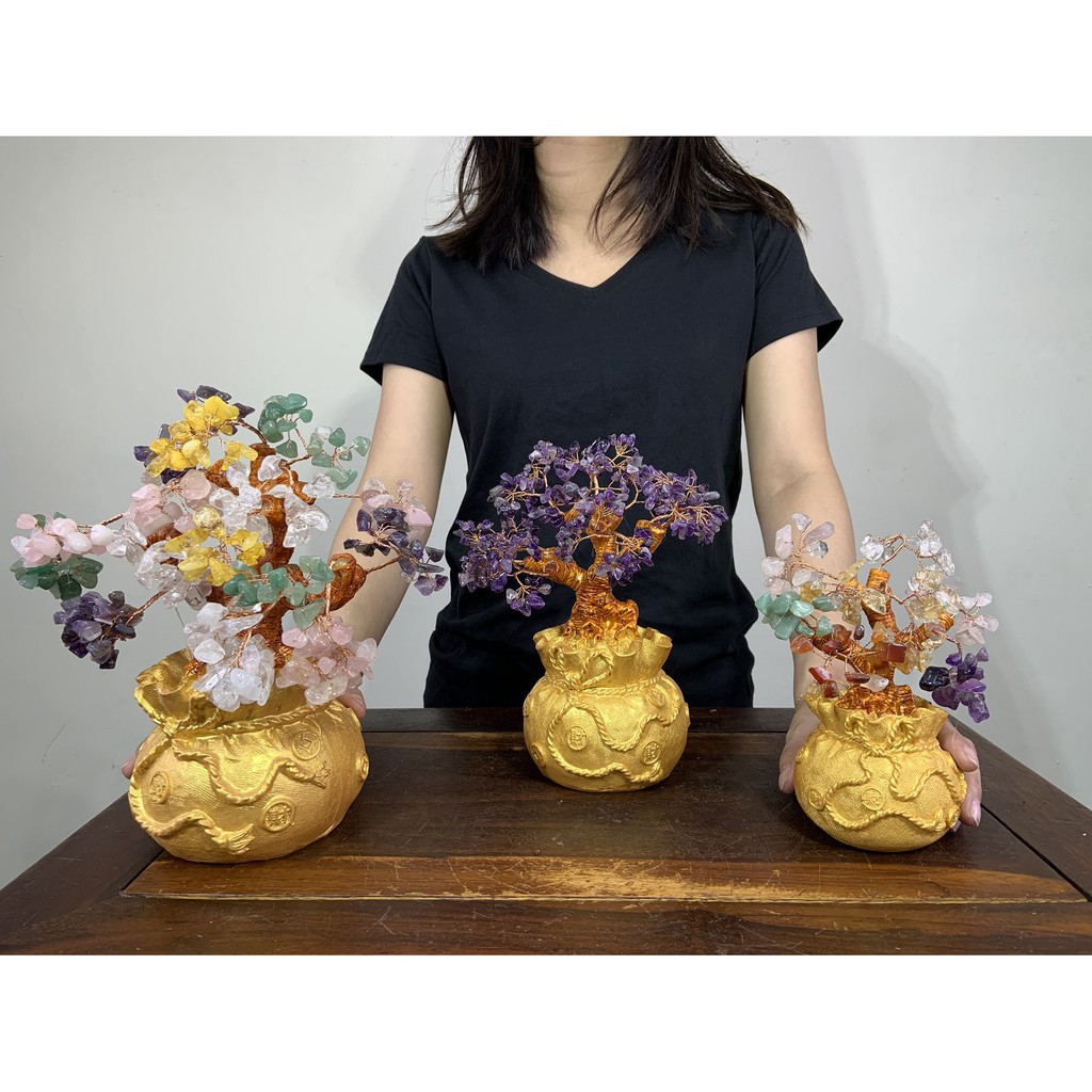 五色水晶發財樹 Ptt討論與高評價網拍商品 21年7月 飛比價格