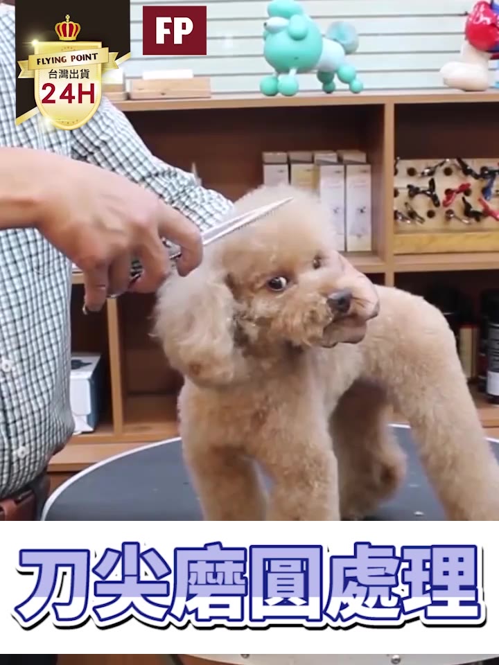 【堅硬耐用】專業美髮剪刀 牙剪 平剪 美髮工具 打薄剪 剪刀 理髮 美髮剪刀美髮造型剪刀【D1-00840】