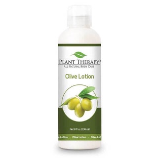 橄欖油無香乳液 Olive Lotion – Unscented Base 236ml