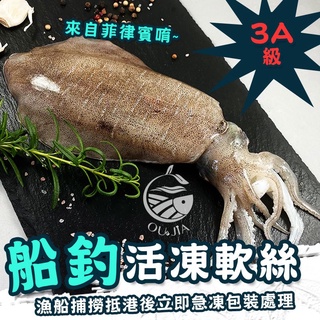 3A菲律賓船釣活凍大軟絲 500-600G 【歐嘉嚴選】全家799免運 蝦幣10倍送 餐廳供應