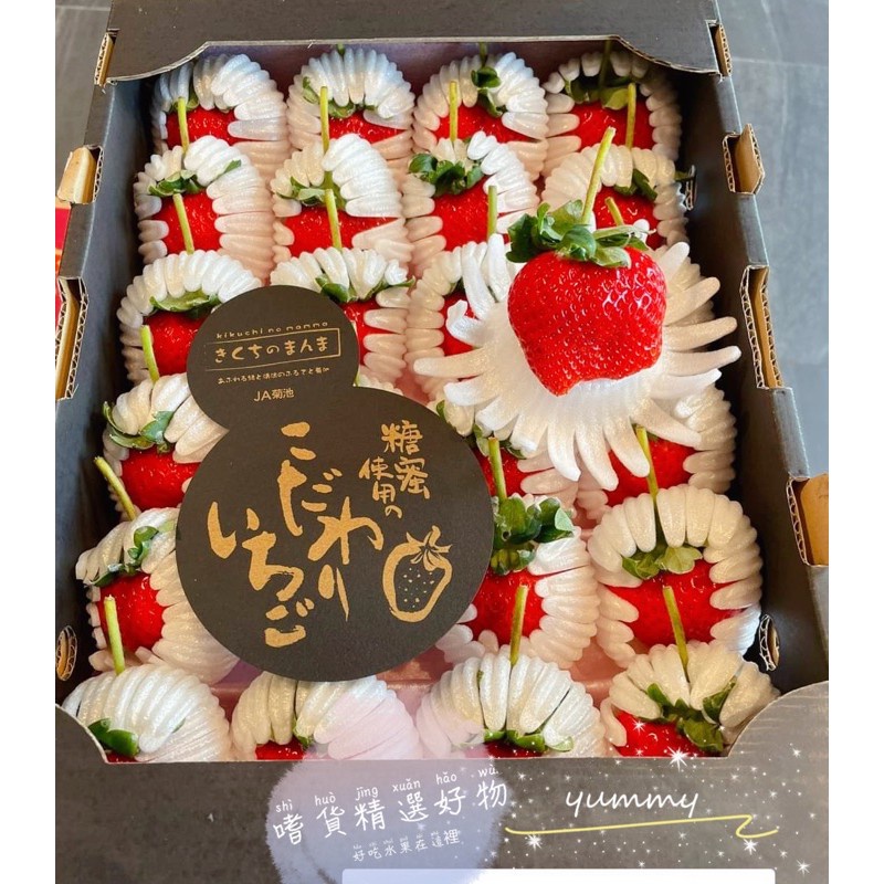 日本草莓菊池蜜糖草莓長崎糖蜜草莓古都華草莓淡雪草莓熊本熊草莓福岡草莓唐津草莓大妃美香川草莓 蝦皮購物