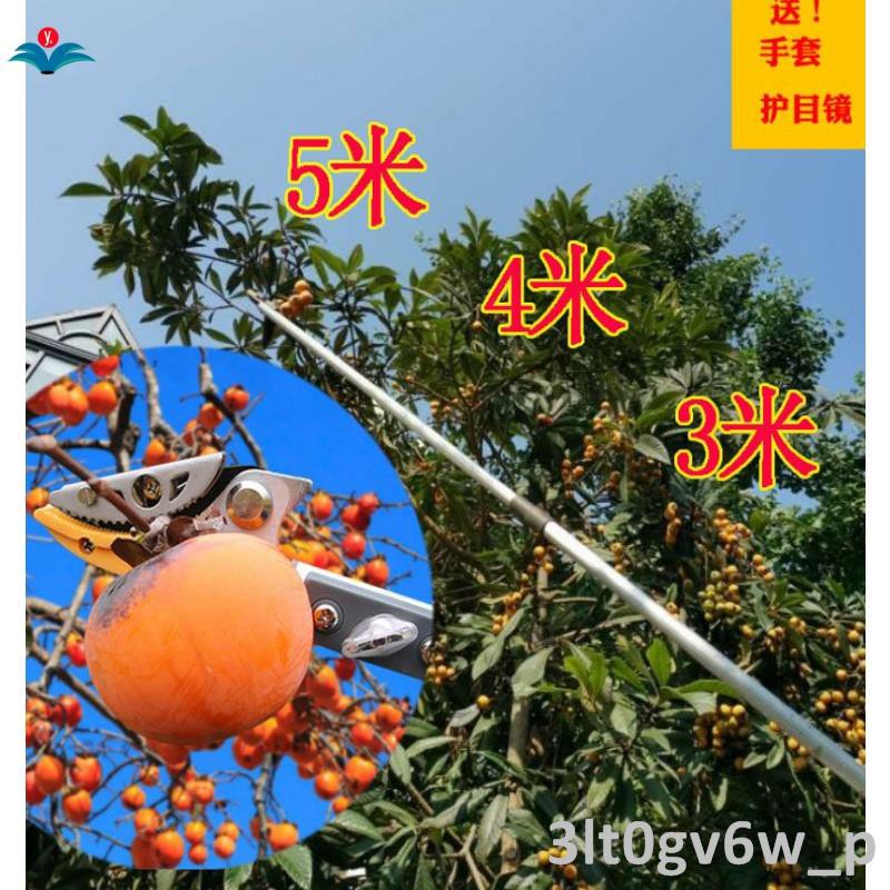 秒殺特惠長桿高空水果剪刀摘果剪荔枝龍眼枇杷采果剪鋸鋁管園林剪高枝剪 3lt0gv6w P 蝦皮購物