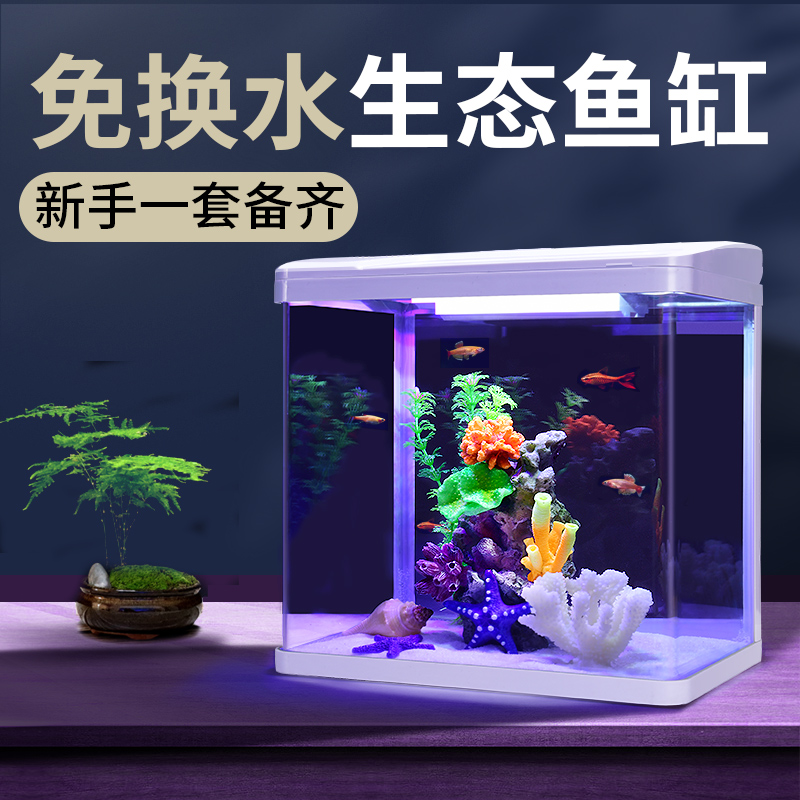 金魚過濾 Ptt Dcard討論與高評價網拍商品 21年9月 飛比價格