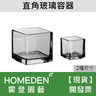 玻璃花器 園藝植作優惠推薦 居家生活21年9月 蝦皮購物台灣
