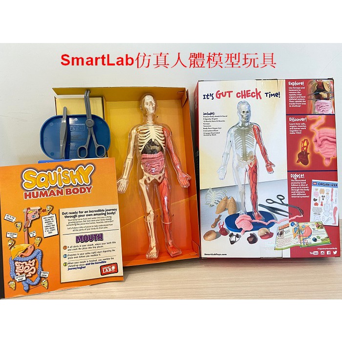 現貨 全新 正品 美國SmartLab仿真人體模型玩具