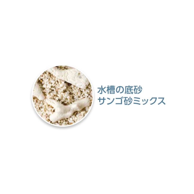 日本正規代理店品 水槽の底砂サンゴ砂 0 8kg Shipsctc Org