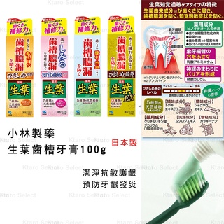 日本製 牙膏 【小林製藥】生葉齒槽 齒槽膿漏 潔淨 抗敏 牙膏 100g 抗敏感牙膏 EX 護齦 預防牙齦發炎 抗敏牙膏