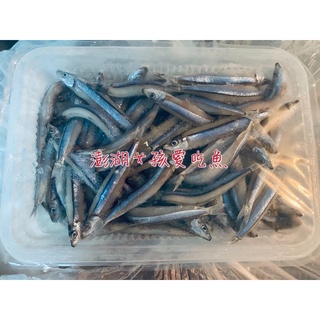 澎湖城前鮮蚵新鮮美味無腥味無泡水300公克 蝦皮購物