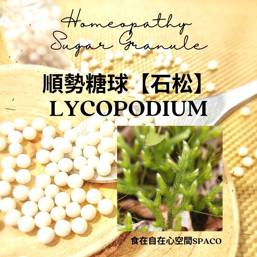 順勢糖球【石松／Lycopodium】Homeopathy《增加學習力》