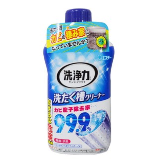 洗淨力洗衣槽清潔劑 洗衣槽清洗劑 日本製 550g 洗衣槽除菌去污劑【DP371】