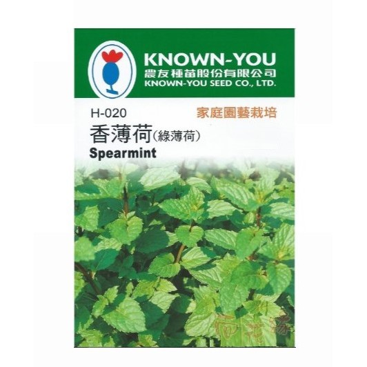 農友 香薄荷 (綠薄荷) - 香藥草種子