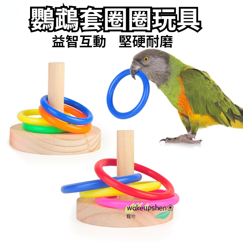 鳥寶益智互動必備 趣味鸚鵡套圈玩具 鸚鵡益智訓練玩具 木質鳥玩具 套圈圈玩具
