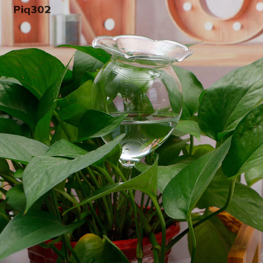 植物自動給水器 Ptt Dcard討論與高評價網拍商品 21年11月 飛比價格