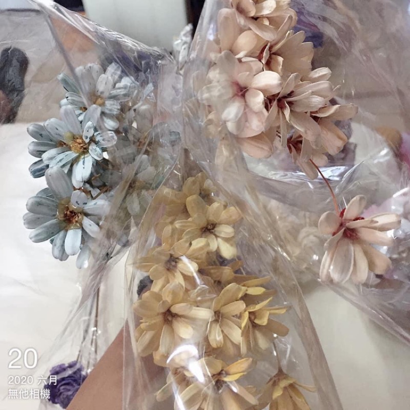 大地農園手工小雛菊 瓜子花 木片花 手工花 乾燥花 蝦皮購物