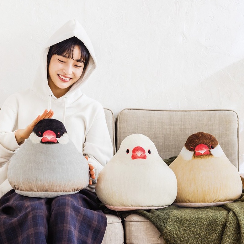 Bunny麥 You More 文鳥抱枕黑文鳥白文鳥 蝦皮購物