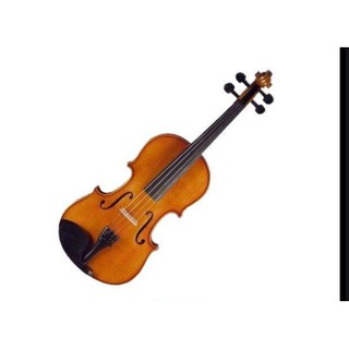 Abbott SN-480 小提琴 4/4 【SN480】