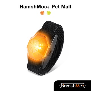 HamshMoc 寵物LED發光吊墜狗牌吊飾 寵物燈 可搭配項圈胸背牽繩 防走失夜間遛狗神器 USB充電【現貨速發】
