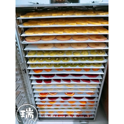 16 20層工業用食品烘乾機110v 220v 全新訂製後速發乾果機低溫烘烤箱食物烘乾機食物乾燥機烘肉乾 蝦皮購物