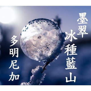 (2024) 獵豆工坊🐆 其他產區 多明尼加 墨翠 冰種藍山 AA級 水洗 咖啡生豆 500G