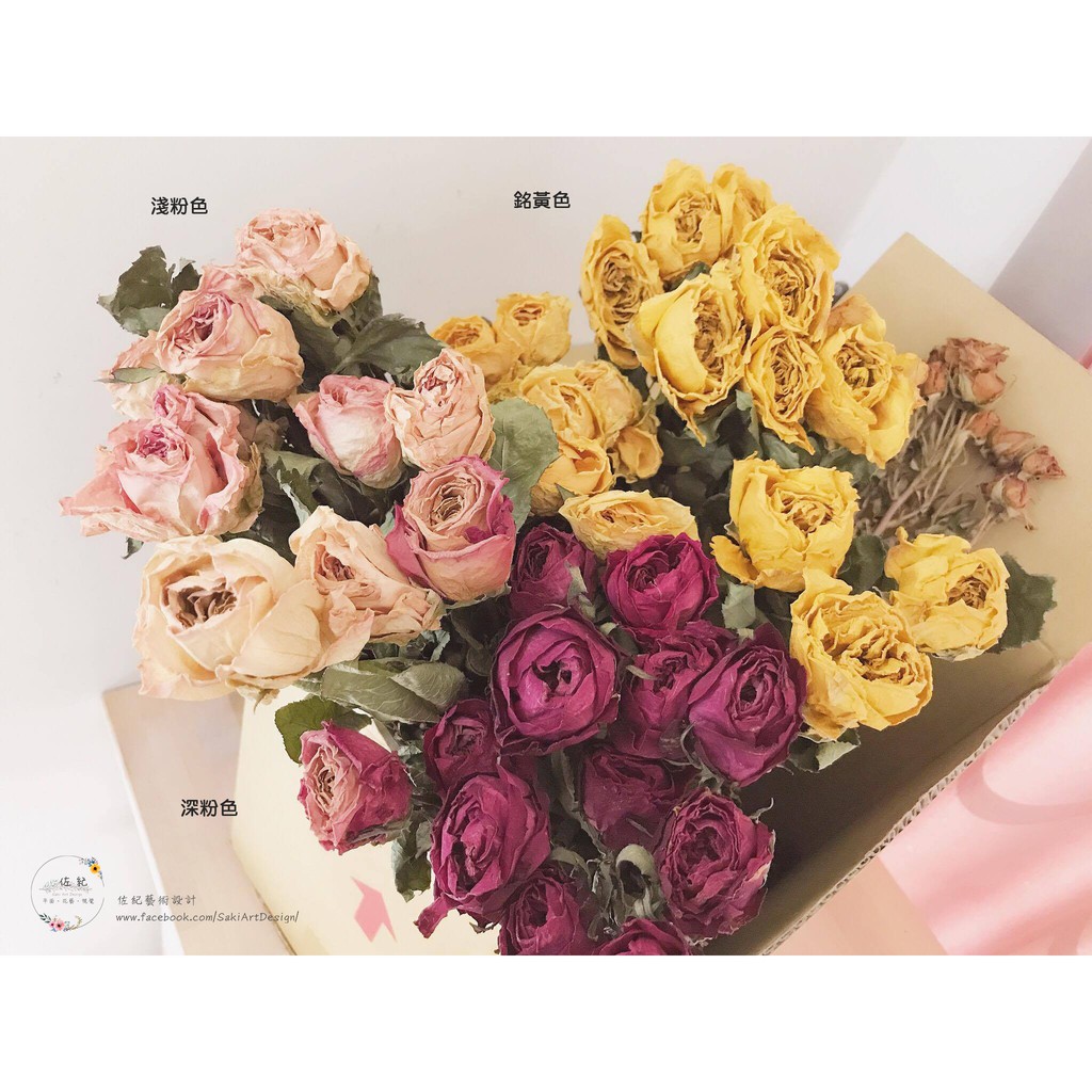 佐紀藝術 乾燥中型玫瑰 便宜出清 滿天星 乾燥花 玫瑰 乾燥玫瑰 蝦皮購物