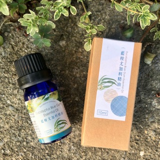 藍桉尤加利精油 Eucalyptus Blue Gum Essential Oil • 10ml