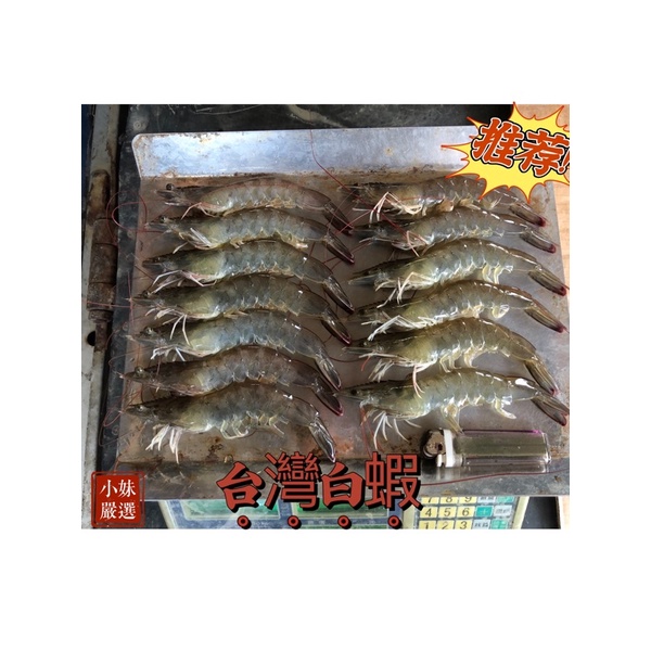 鮮美多汁 烤肉必備 台灣自產🇹🇼新鮮活凍白蝦 35-37尾斤
