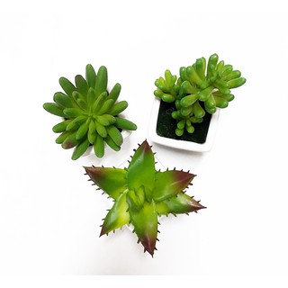 模擬 綠植假盆栽 ME-02 多肉盆栽 拍攝 拍照 道具 仿真植物 攝影裝飾 擺件 樂活紓壓解憂 舒緩心靈疲勞