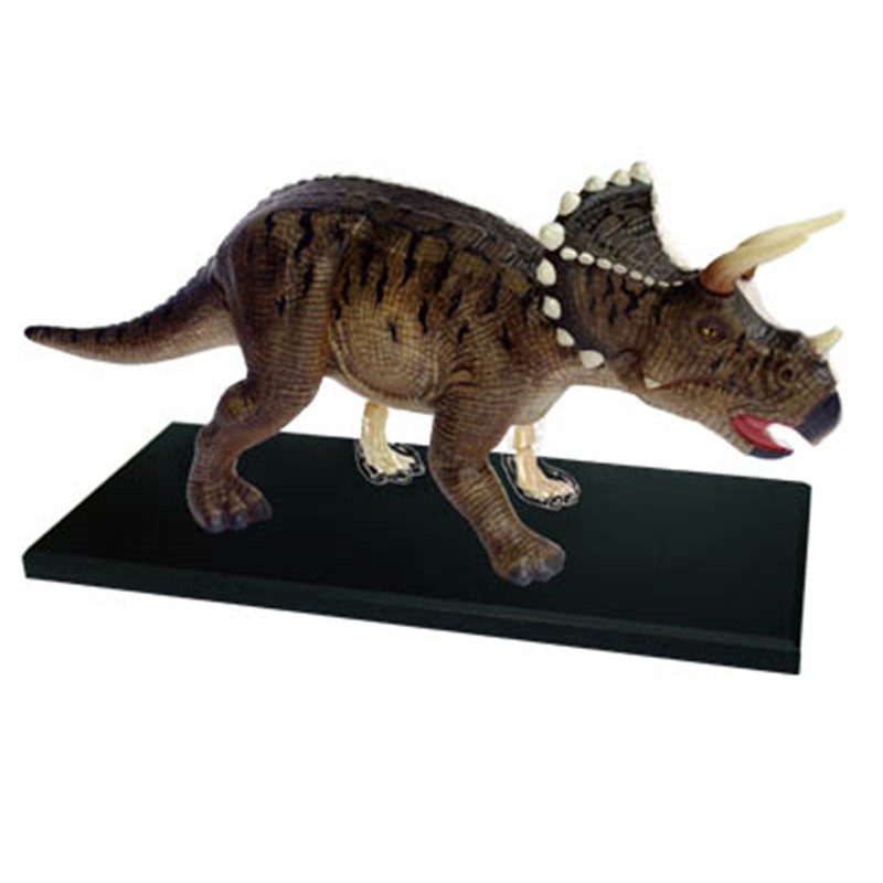 4D MASTER 4D Vision 動物三角龍解剖拼裝 模擬生物恐龍器官解剖模型醫學教學模型