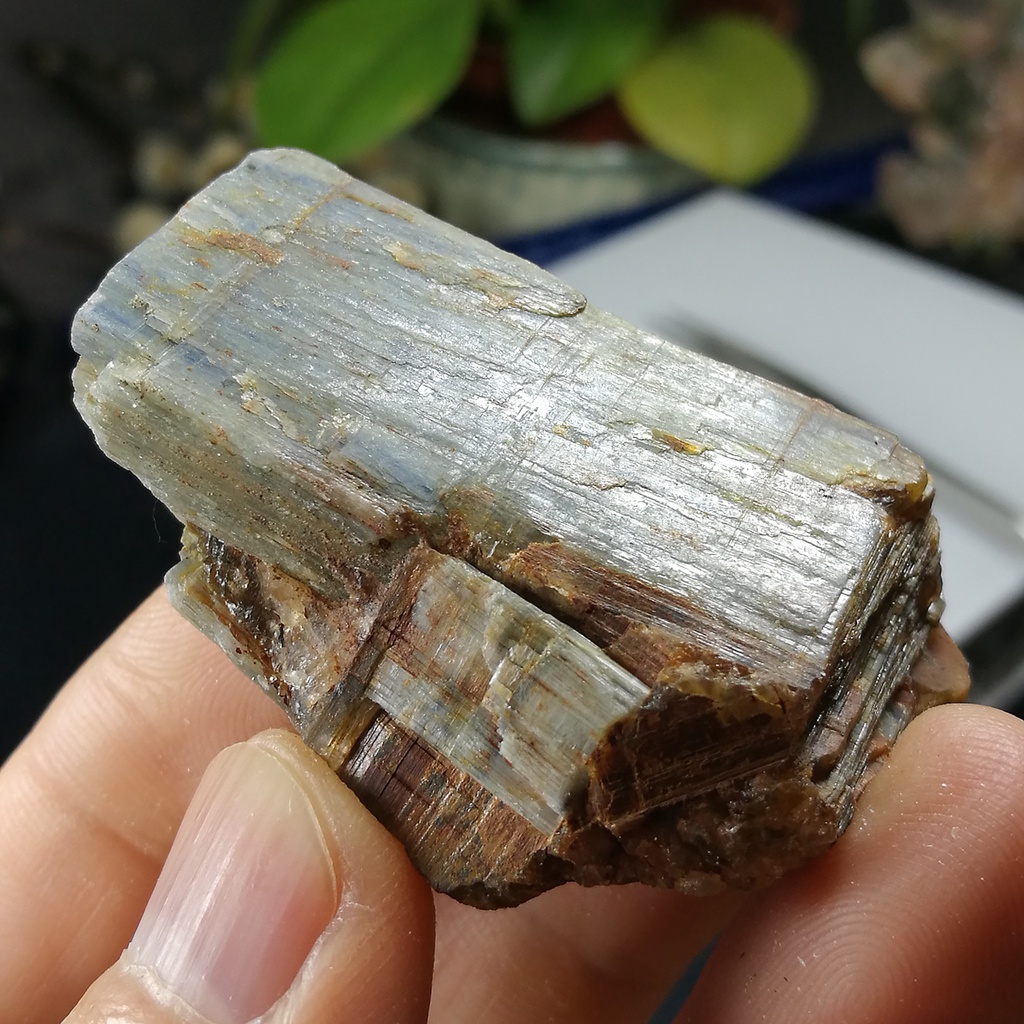 [友克鑫礦業]da51約重37.8g-藍晶石原礦 Kyanite 無加工天然晶礦