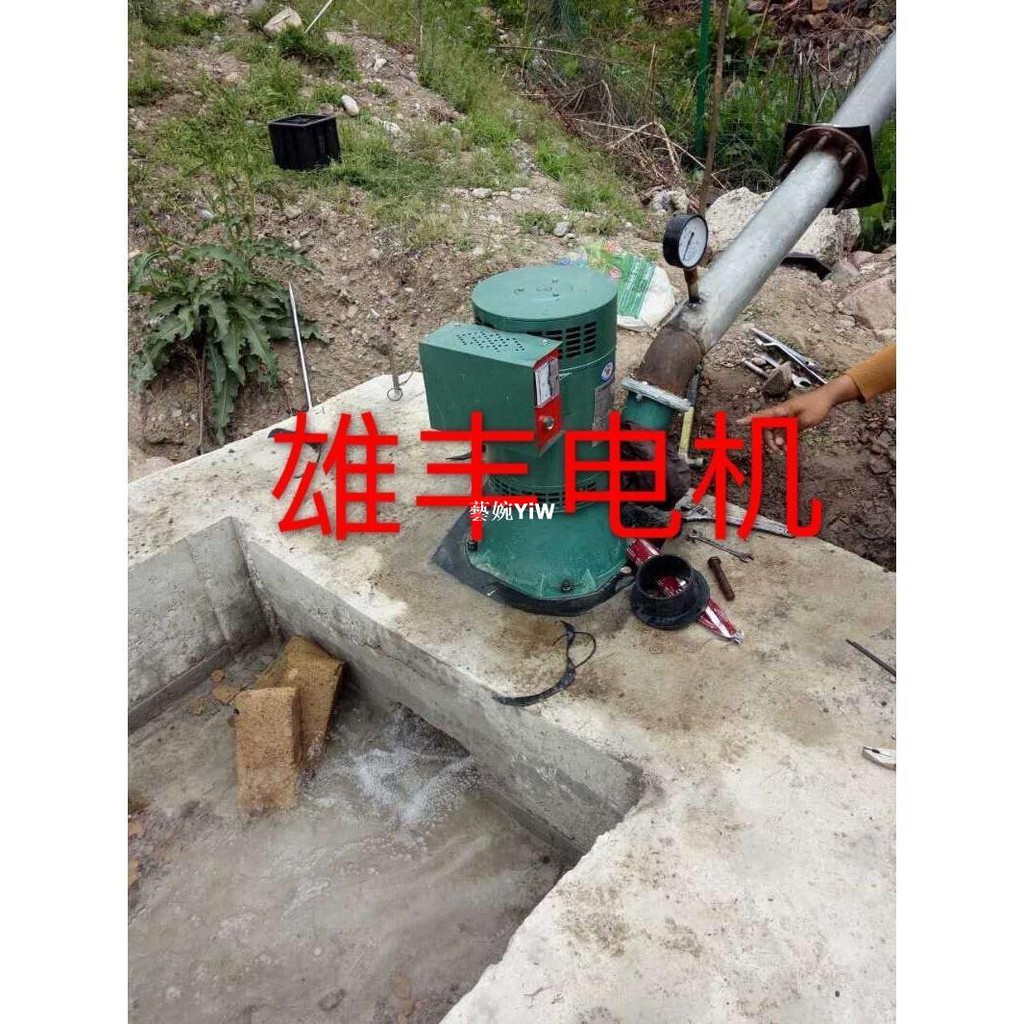 藝婉yiw 免運 5kw勵磁單相水力發電機斜擊式5000w三相水輪發電機組水力發電 蝦皮購物