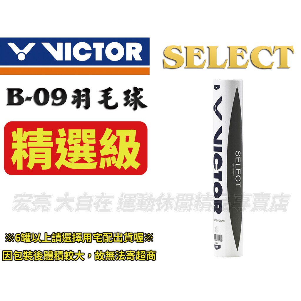 【大自在】 VICTOR 勝利 羽球 SELECT 練習球 精選級 羽毛球 穩定 CP值高 B-09