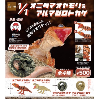 ❖貓大爺玩具❖現貨 SO-TA 1比1鬼玉尾守宮與犰狳蜥 轉蛋 扭蛋 守宮 犰狳蜥 蜥蜴 兩生 鬼玉尾守宮 守宮