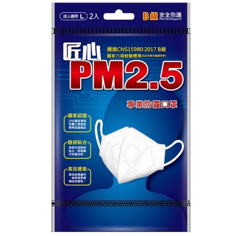 現貨 👍🏻 PM2.5 匠心立體防霾口罩2片入 黑色