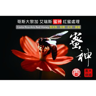 (酸酸甜甜果汁感))哥斯大黎加 艾瑞斯蜜神 紅蜜處理淺中烘焙咖啡豆