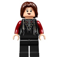 ［想樂］『人偶』全新 樂高 Lego HP210 哈利波特 小仙女·東施 (75980)