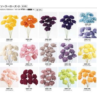 通草花 優惠推薦 22年12月 蝦皮購物台灣