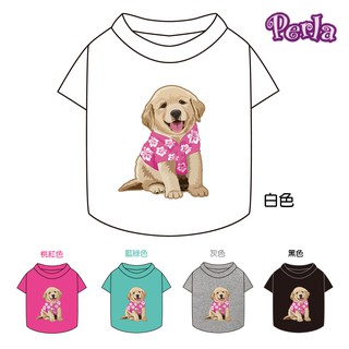 Perlapets 寵物服飾 狗T恤 穿花襯衫的阿金 台灣製 狗衣 貓衣 黃金獵犬 寵物團體服訂製