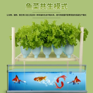 【魚菜共生箱】魚箱魚缸陽臺種菜盆蔬菜架種植箱水培花盆魚菜共生系統裝置無土栽培種植架