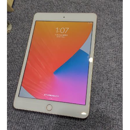 Ipad Mini 5 64g二手的價格推薦 21年3月 比價比個夠biggo
