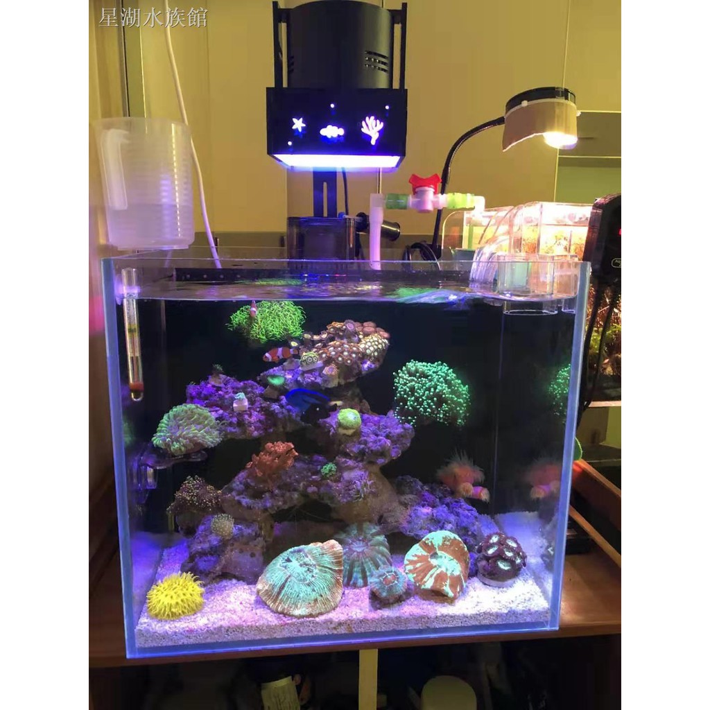 Led 燈海水的價格推薦第47 頁 21年5月 比價比個夠biggo