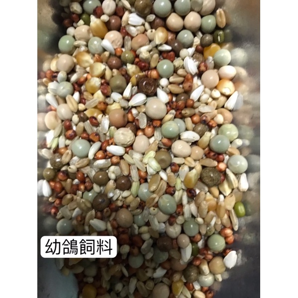 粉鳥工會 鴿子幼鴿飼料 未成鳥 倉鼠 寵物 斑鳩 寵物用品 鴿子用品