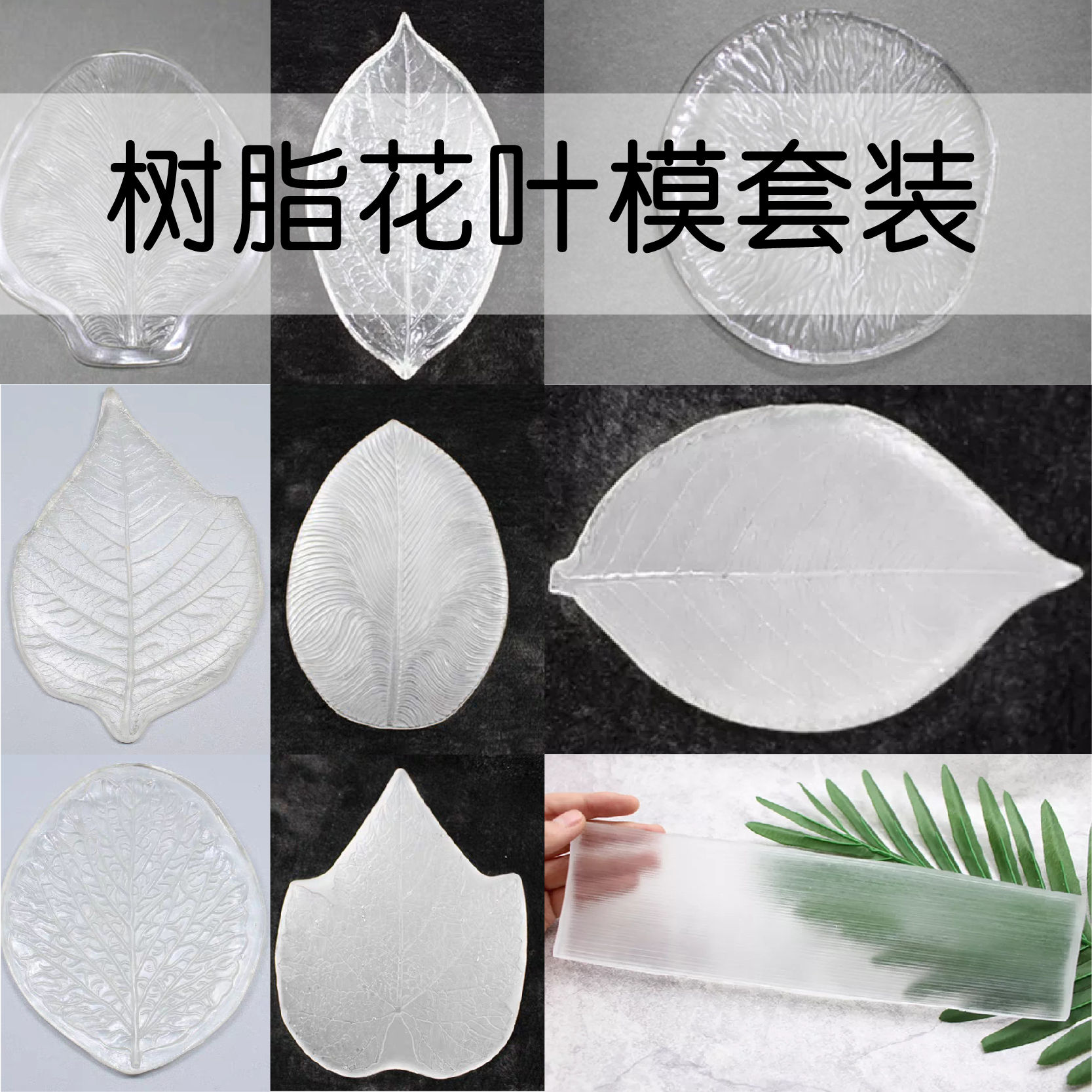 5 5 墨叔家樹脂粘土模擬花翻糖花卉葉子葉片模具葉模壓模 蝦皮購物