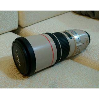 CANON EF300mm f/4.0 L IS USM 單眼相機 鏡頭 附迷彩保護套 B+W保護鏡 原廠收納袋 公司貨